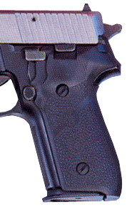 HOGUE GRIP SIG P228/229 NO FG BLK