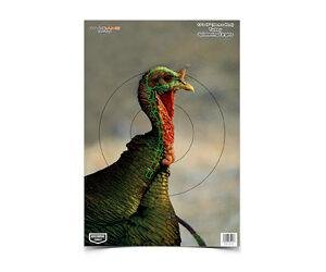 B/C PREGAME TURKEY TGT 8-12X18