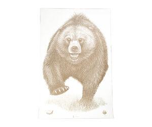 ACTION TGT AK STATE PARK BEAR 100PK