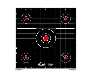 B/C DIRTY BIRD SIGHT IN TGT 12-12"
