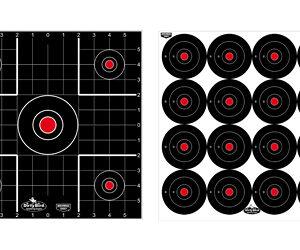 B/C DIRTY BIRD COMBO TARGETS 12PK